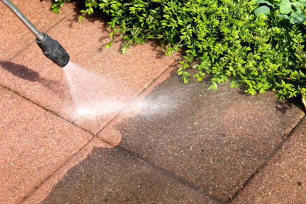 Best Industrial Pressure Washing in Lyons, WI